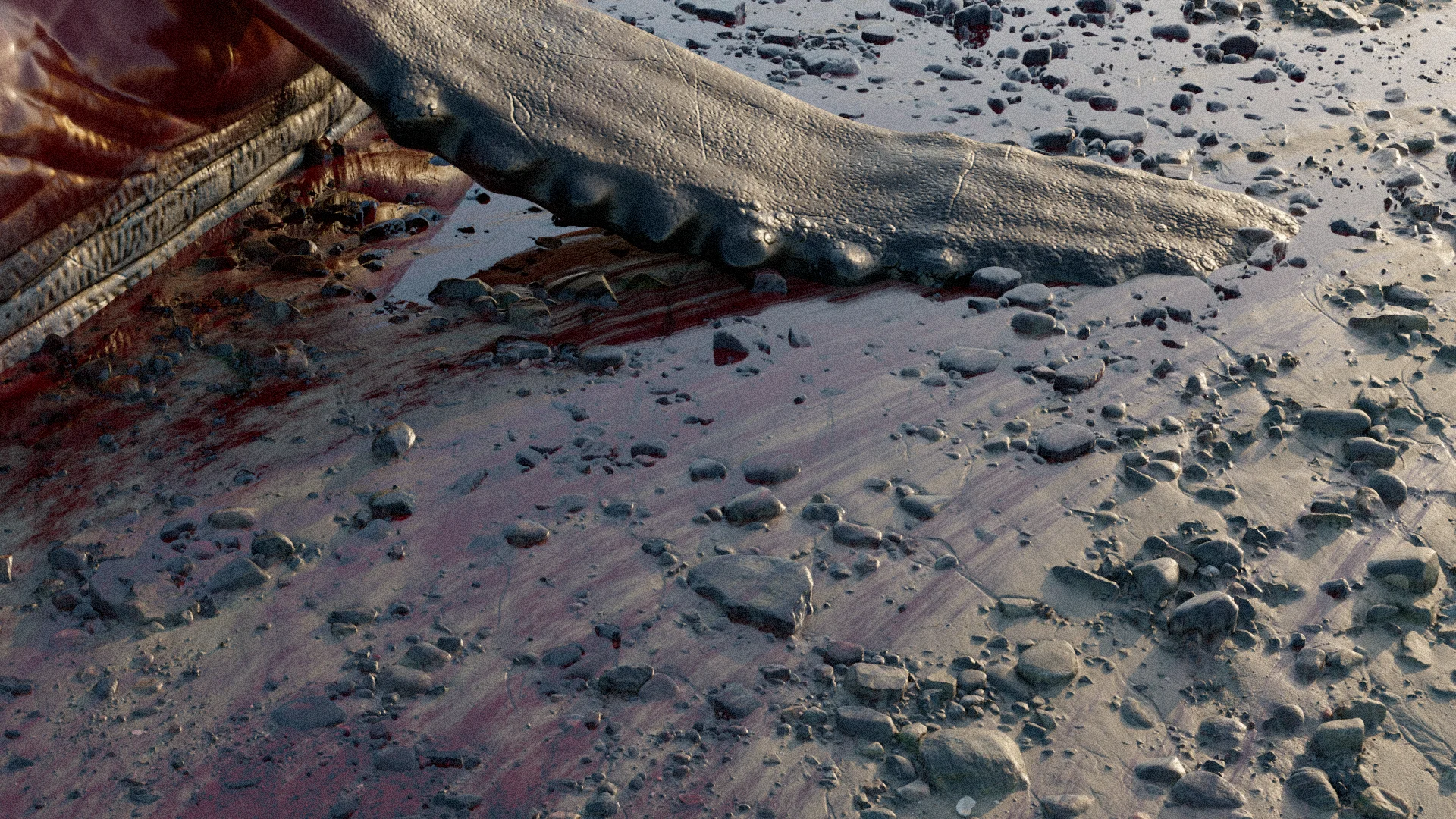SEALIFE — still 2